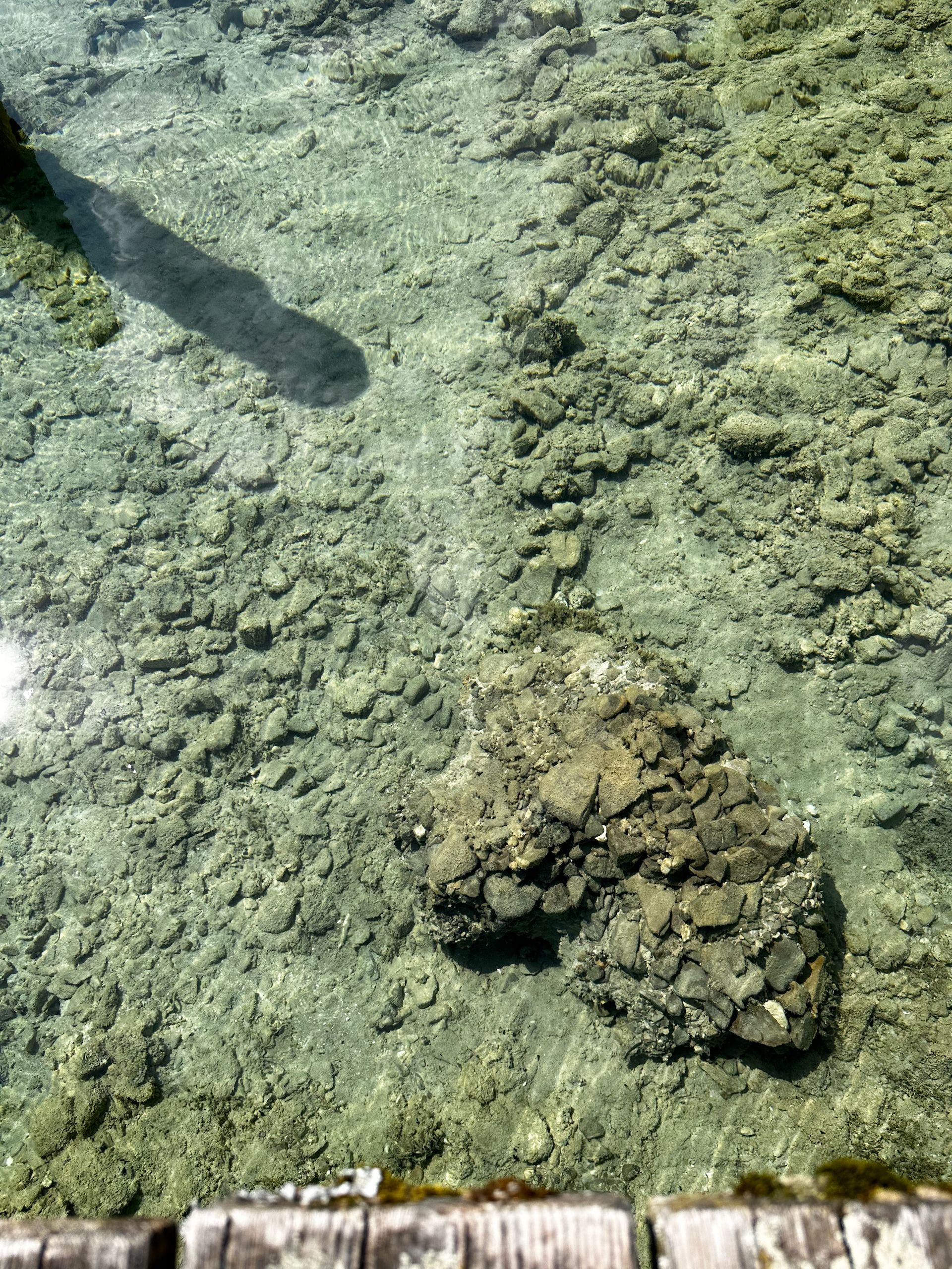 Kristallklares Wasser im Attersee